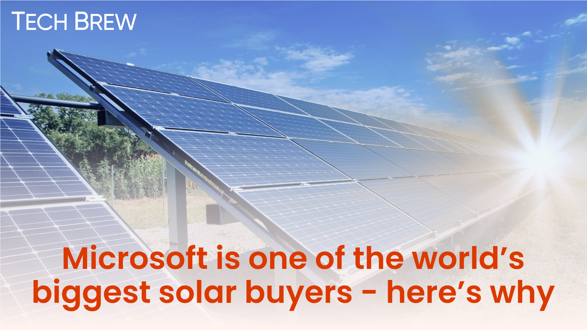 Microsoft is one of the world's biggest solar buyers - here's why
