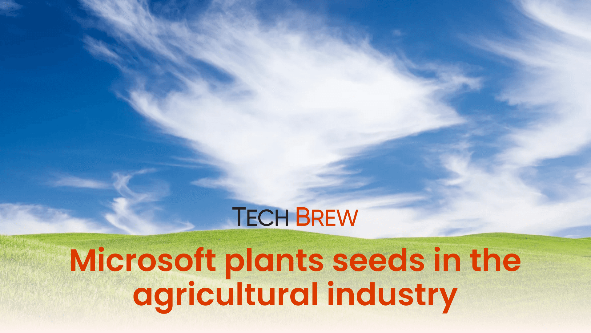 Microsoft plants seeds in the agriculture industry